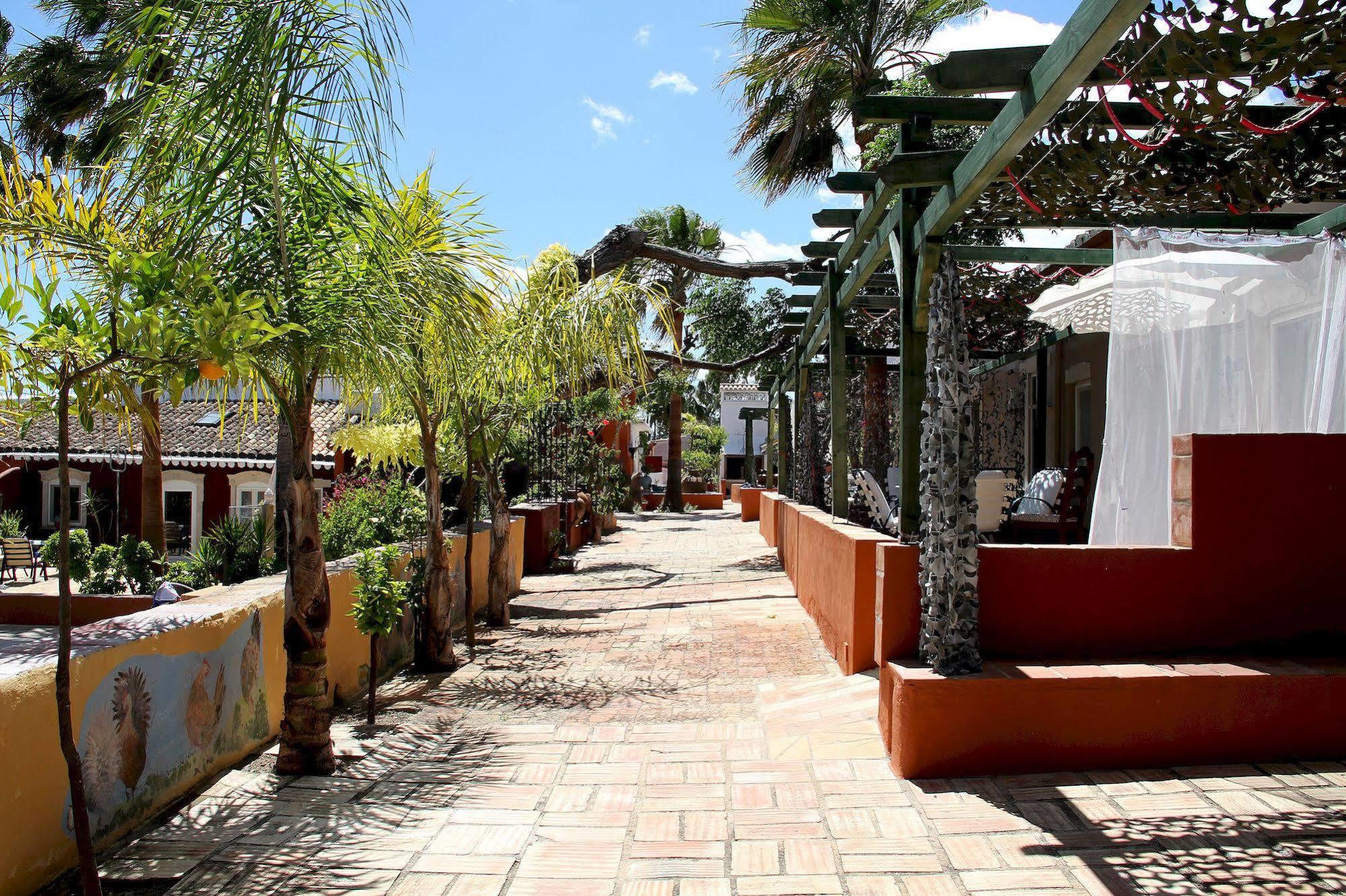Quinta Dos Amigos Apartment Almancil Exterior foto