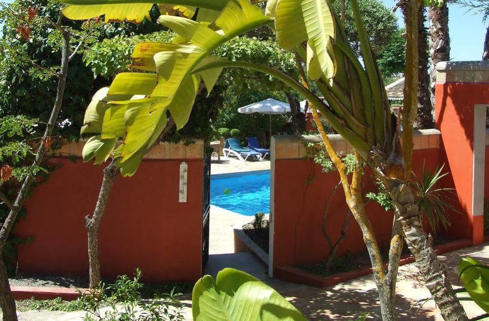 Quinta Dos Amigos Apartment Almancil Exterior foto